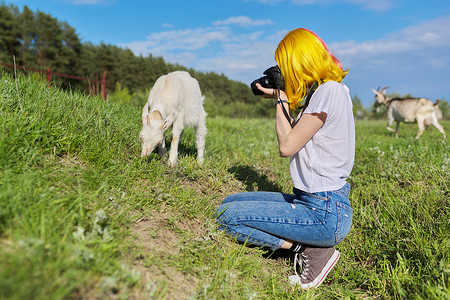 带相机的女孩嬉皮士青少年拍小山羊的照片