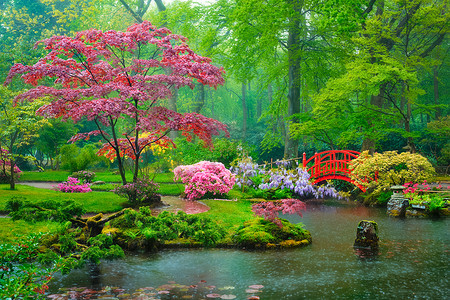 日本花园，克林根达尔公园，海牙，荷兰