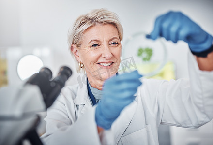 科学、研究和植物样本与在生物实验室工作的女医生一起进行创新或开发。