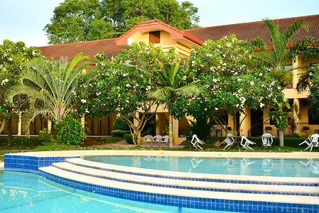 免vip摄影照片_位于内格罗斯奥里岛道因的私人住宅 VIP 度假村游泳池