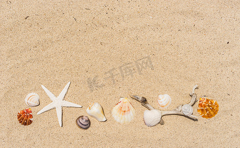 沙滩夏季背景，沙滩上有海星和贝壳