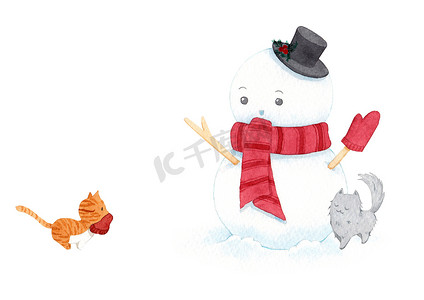 可爱的圣诞雪人戴着帽子、围巾和白色背景的猫。