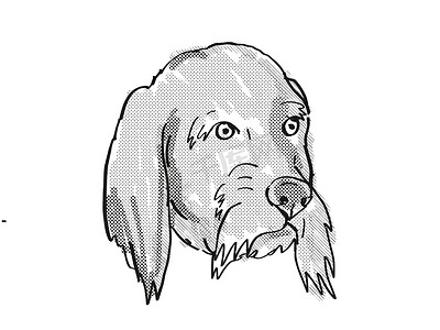 Basset Fauve de Bretagne 狗品种卡通复古绘图