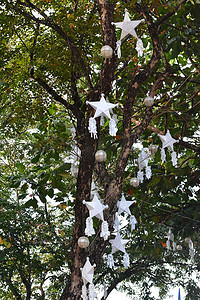 菲利普安蒂波洛挂着树叶和圣诞灯笼的树