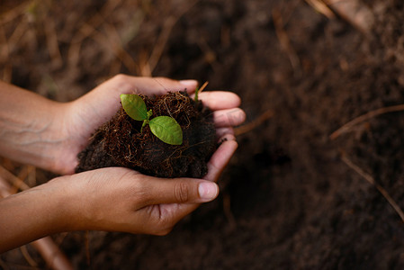 地球日手中的植物、生长和土壤，园艺泥土、肥料和农业自然的支持和可持续性。