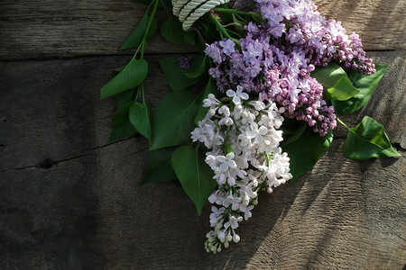 美丽的紫色春天花朵与礼品标签。