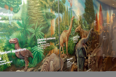 位于塔吉格博尼法西奥环球城的心灵博物馆恐龙图片，
