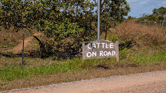 牛在路上手绘乡村标志