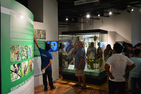 国家自然历史博物馆摄影照片_菲律宾马尼拉国家自然历史博物馆自然展览