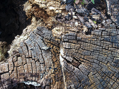 老开裂腐烂的木材表面，有树木年轮和几何同心图案的线条