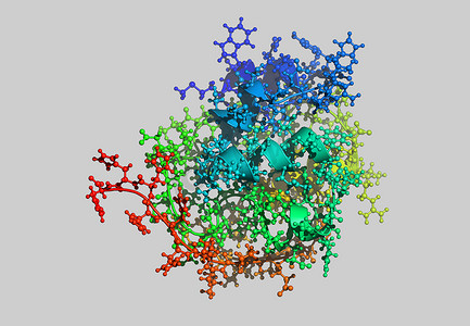具有原子的蛋白质分子模型