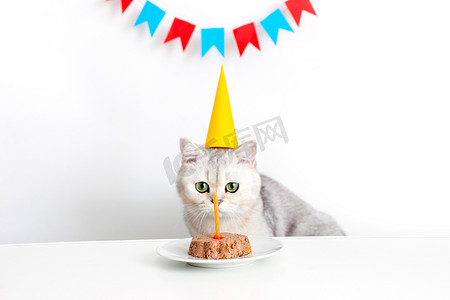 猫白背景摄影照片_戴着黄色纸帽的滑稽猫坐在白桌旁，看着罐头猫蛋糕中的蜡烛