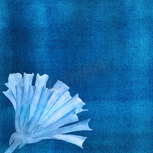 蓝色水彩背景上的蓝色花。