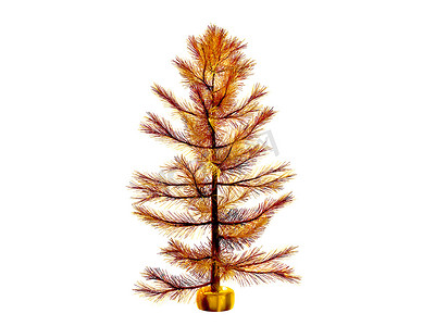 png透明摄影照片_3D 圣诞树或松树 3D 准备装饰，隔离在透明背景上