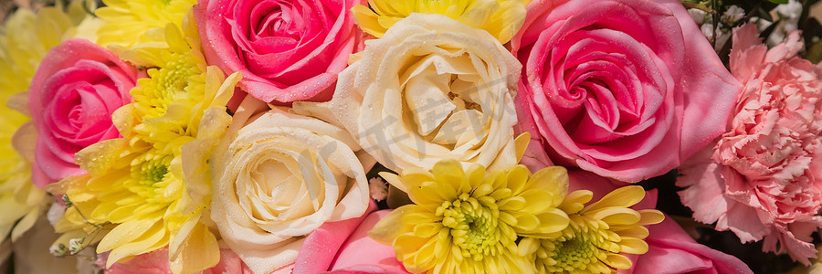 花束妈妈摄影照片_一个网站的美丽夏季横幅，上面有一束鲜艳的花朵。