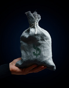 一只女手拿着一个满是麻袋的袋子，上面有美元符号，财富概念，盈利的生意