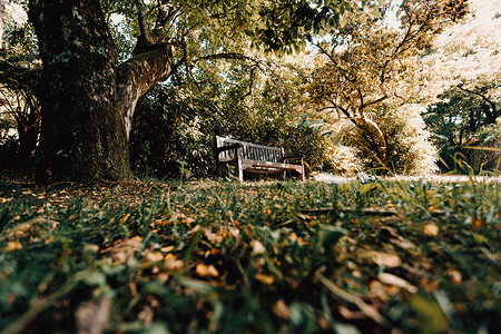 秋天明媚的一天，公园里的木凳