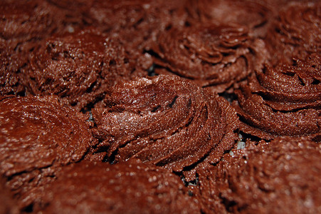 黑巧克力和焦糖盐花纸杯蛋糕