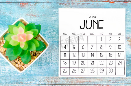 2023 年 6 月月历，木质背景上有花盆。