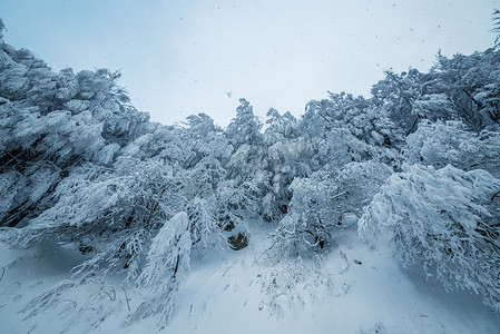 梦幻般的冬季森林景观中美丽的降雪。