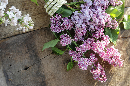 标签背景摄影照片_美丽的紫色春天花朵与礼品标签。