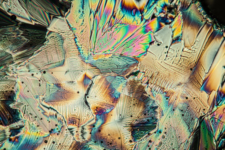 100x 显微镜下偏振光下的谷氨酸晶体