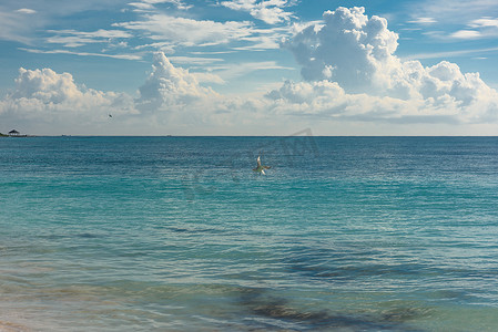 坎昆 Hoteleria 地区加勒比海滩上的海岸。