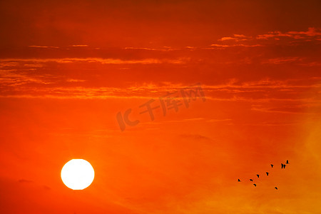 橙红背景摄影照片_傍晚的日落橙红云在黄色的天空和剪影