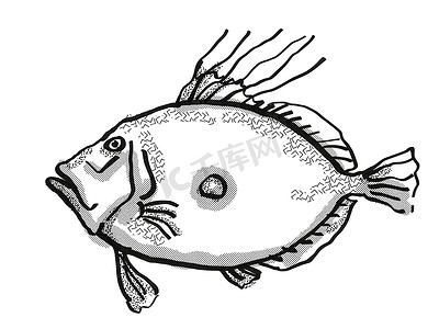 多利王新西兰鱼卡通复古绘图