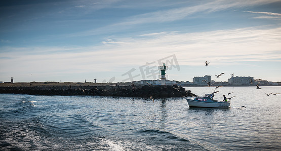 小渔船在海鸥的陪伴下驶入港口