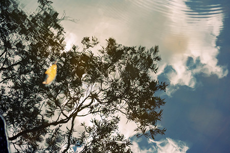 天空和树枝摄影照片_黄叶、树枝、云彩和天空倒映在水中