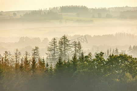秋天有雾和有薄雾的日出风景