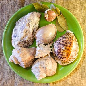 海贝壳、大蒜头和绿盘上的月桂叶的组合物，背景 — 粗糙的织物
