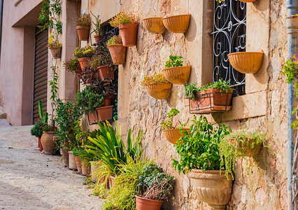 西班牙马略卡岛巴尔德莫萨村墙上的盆栽植物