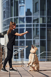 年轻积极的女性在商业大楼附近户外散步时会玩得开心，并与她的狗一起做戏法