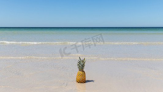 沙滩上孤独的菠萝