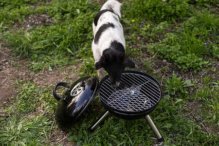夏天烧烤摄影照片_夏天后院草坪上的空烧烤架特写。