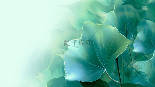简约绿色植物背景背景图片_简约的绿色植物白掌叶子