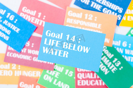 目标 14：水下生命。 