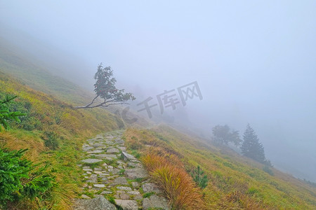 海拔高摄影照片_海拔高的山上有浓雾。