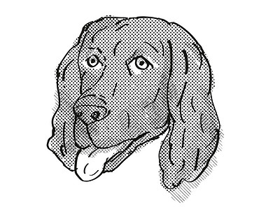 平毛猎犬狗品种卡通复古绘图