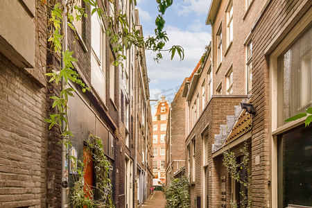 一条狭窄的街道，有砖砌建筑和植物