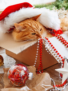 可爱的姜猫躺在装有圣诞节和新年装饰的盒子里