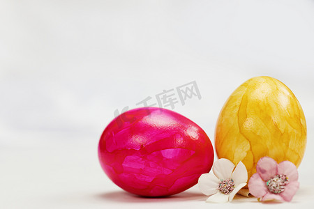 复活节彩蛋在白色背景上涂上柔和的色彩，配有复制空间和可爱的春花，复活节快乐假期概念，带有文字空间。