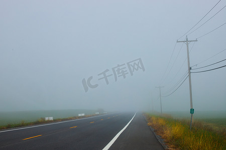 有电话杆的农田旁的大雾乡村道路早晨