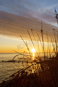 切割云摄影照片_布什植物的剪影在前景中切割太阳，橙色和红色的天空，黎明或日落时，在一个废弃的旧海码头上，有华丽的云彩，岩石之间有水的倒影