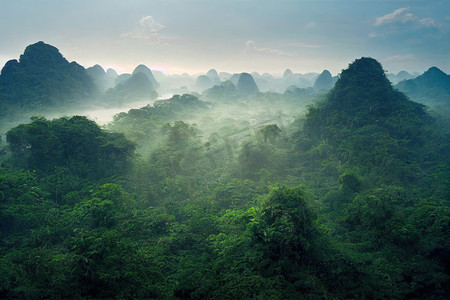 东南摄影照片_八月的东南亚热带丛林深处