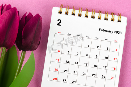 2023 年 2 月 2023 年月度台历和粉红色背景的红色郁金香。