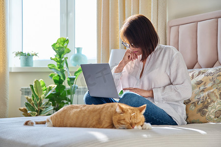 沙发猫摄影照片_成熟女性在家里的沙发上使用笔记本电脑，带着轻松熟睡的姜猫