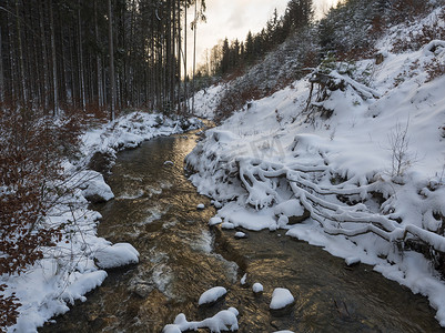 积雪覆盖的森林水流小溪，树木、树枝和石头，黄金时段阳光下的田园诗般的冬季景观